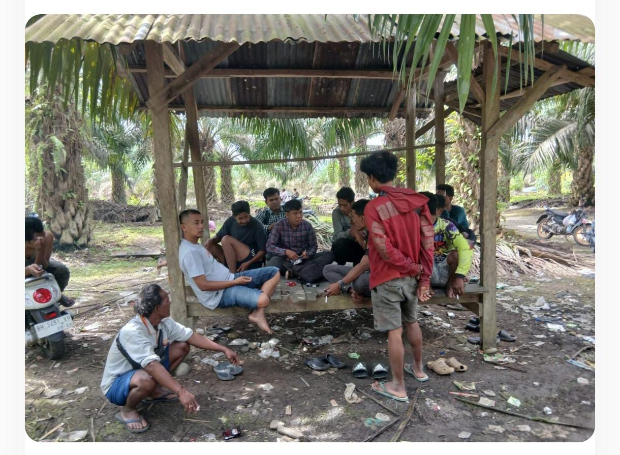 Dinsos Merangin Dorong Kemandirian Ekonomi SAD, 10 Persen Capai Kemandirian Finansial